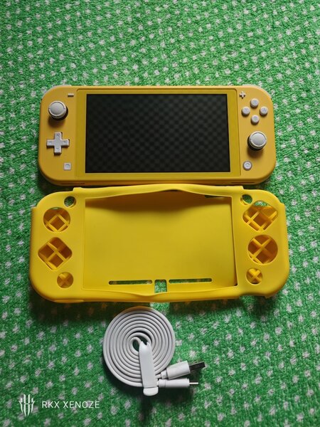 Nintendo switch lite cracké