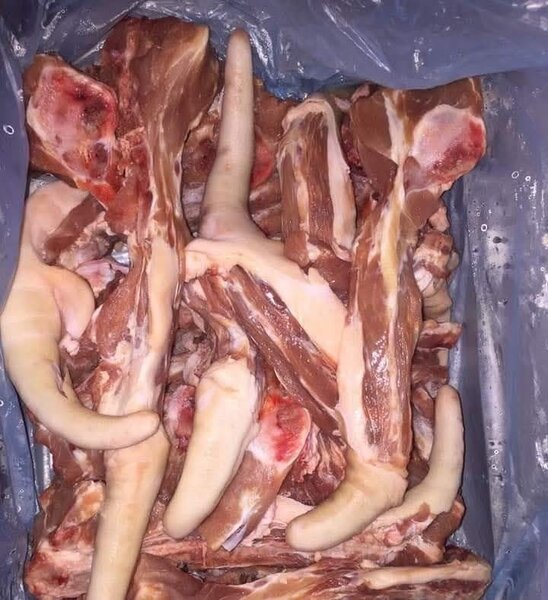 Queue de porc frais ou fumé