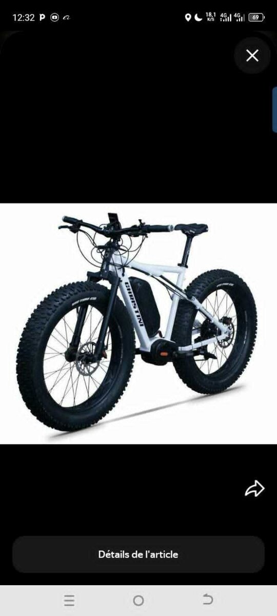 Vélo Électrique Fat Bike Tout-Terrain