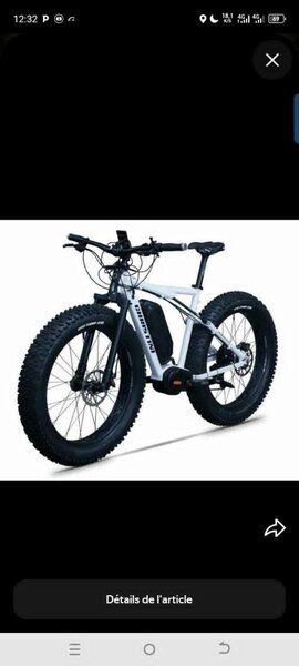 Vélo Électrique Fat Bike Tout-Terrain