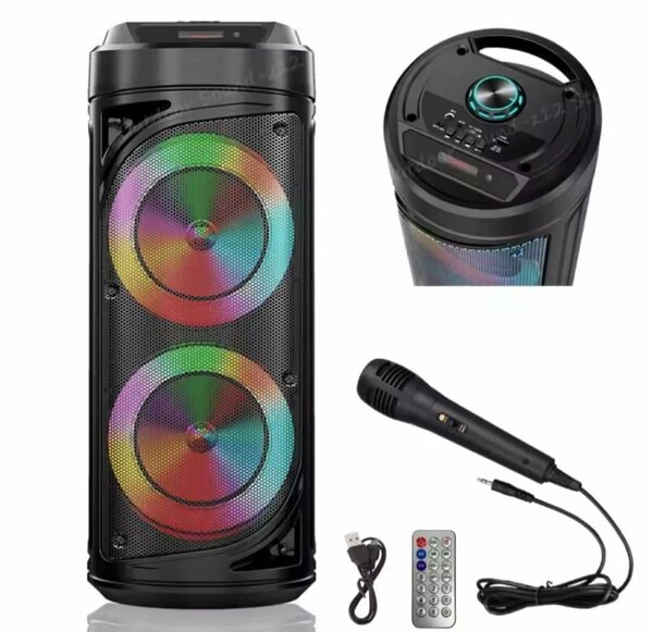 Haut-parleur Bluetooth portable sans fil pour karaoké audio