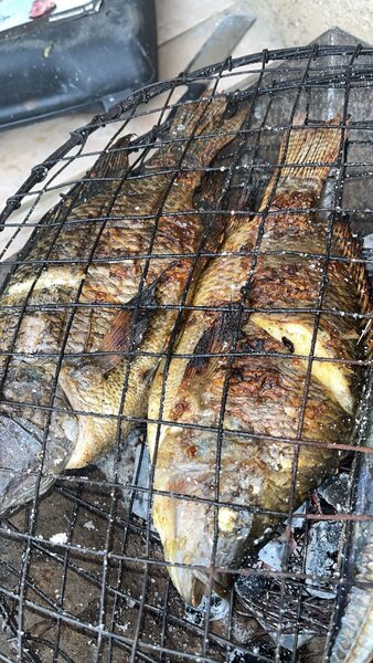 Poisson grillé savoureux