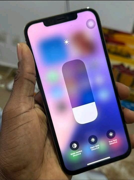 iPhone 12 Pro Max 256GB argent