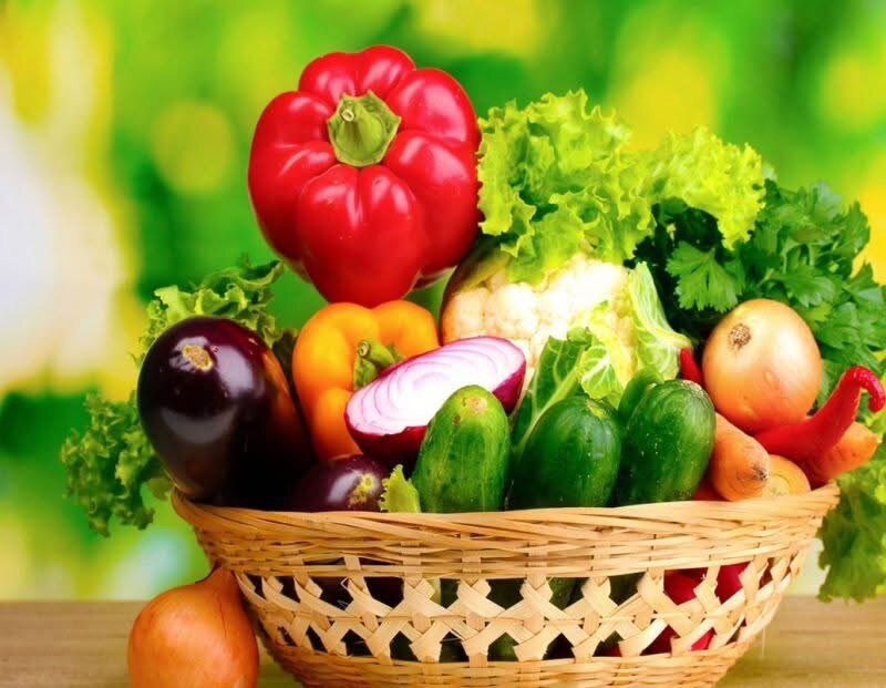 Concombres frais bio