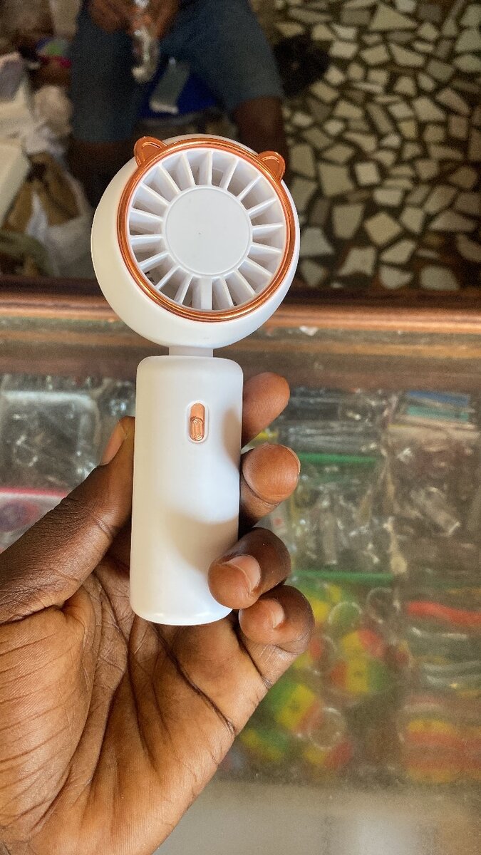 Portable electric hand fan