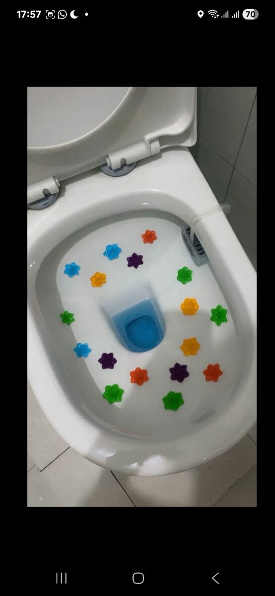 Désodorisant de toilette