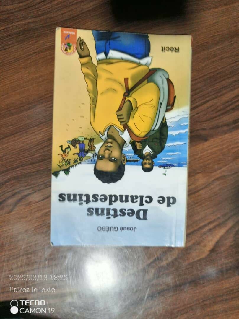 Destin de clandestin