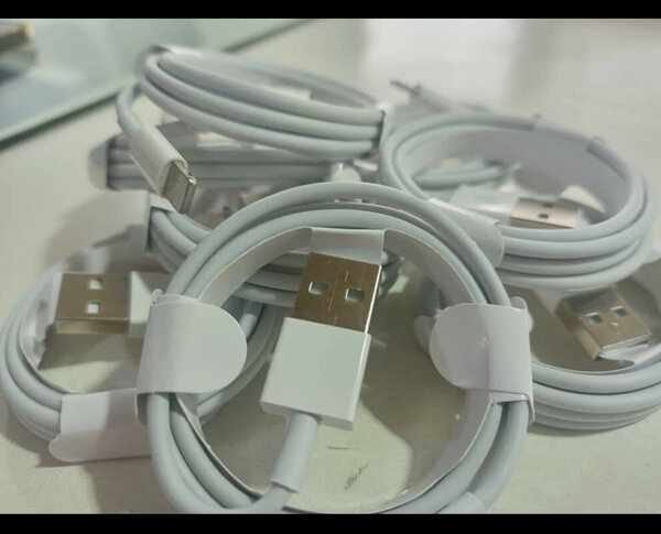 Apple Lightning to USB Cable