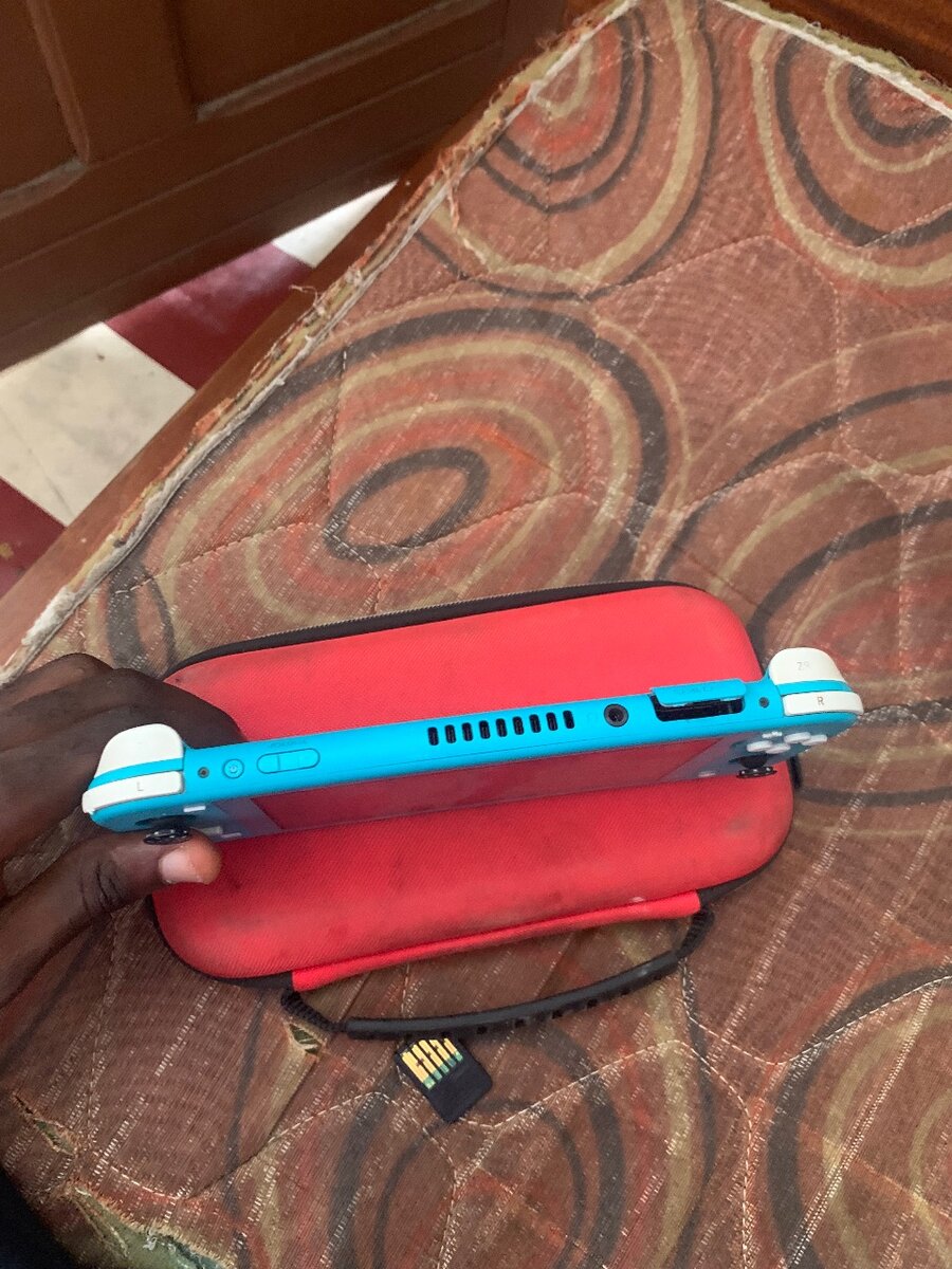 Nintendo switch lite