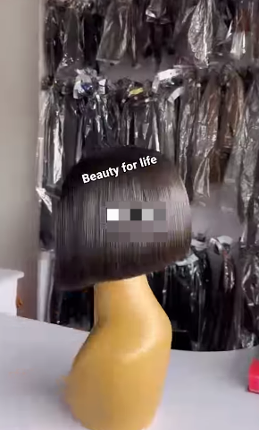 Vietnamese double drawn hair 