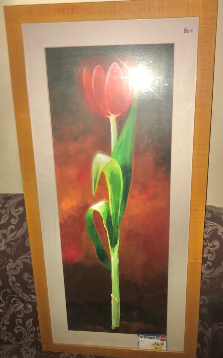 Tableau Cheval Grd Cadre Doré