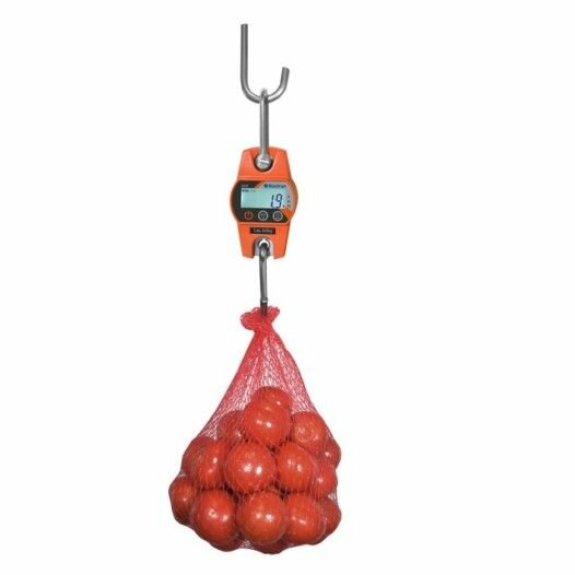 Balance numérique suspendue 300kg