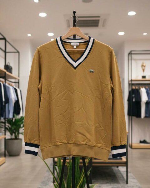 Pull col V classique