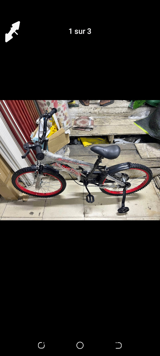 Vélo enfant coloré 20 pouces