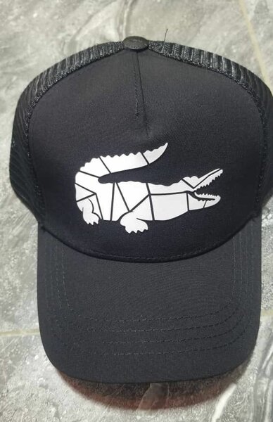 Casquettes Lacoste élégantes