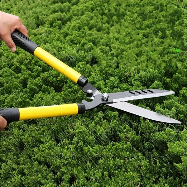 Cisailles de Jardin professionnelles