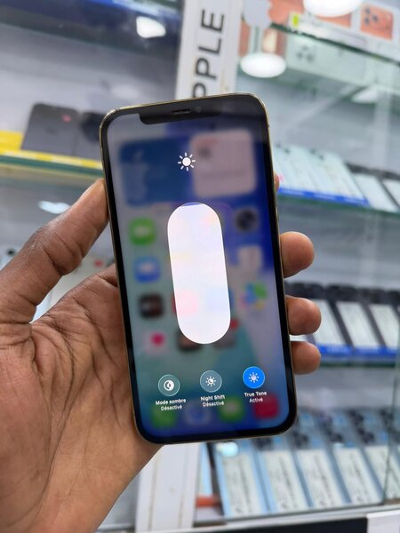 iPhone 12 Pro Max argent