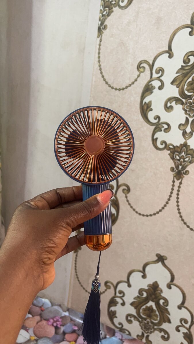 Portable rechargeable fan