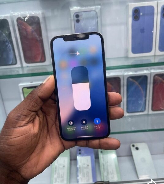 iPhone 12 Pro Max Noir 256 Go
