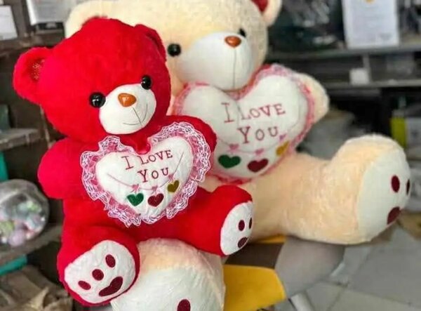 Peluche Ourson Amour