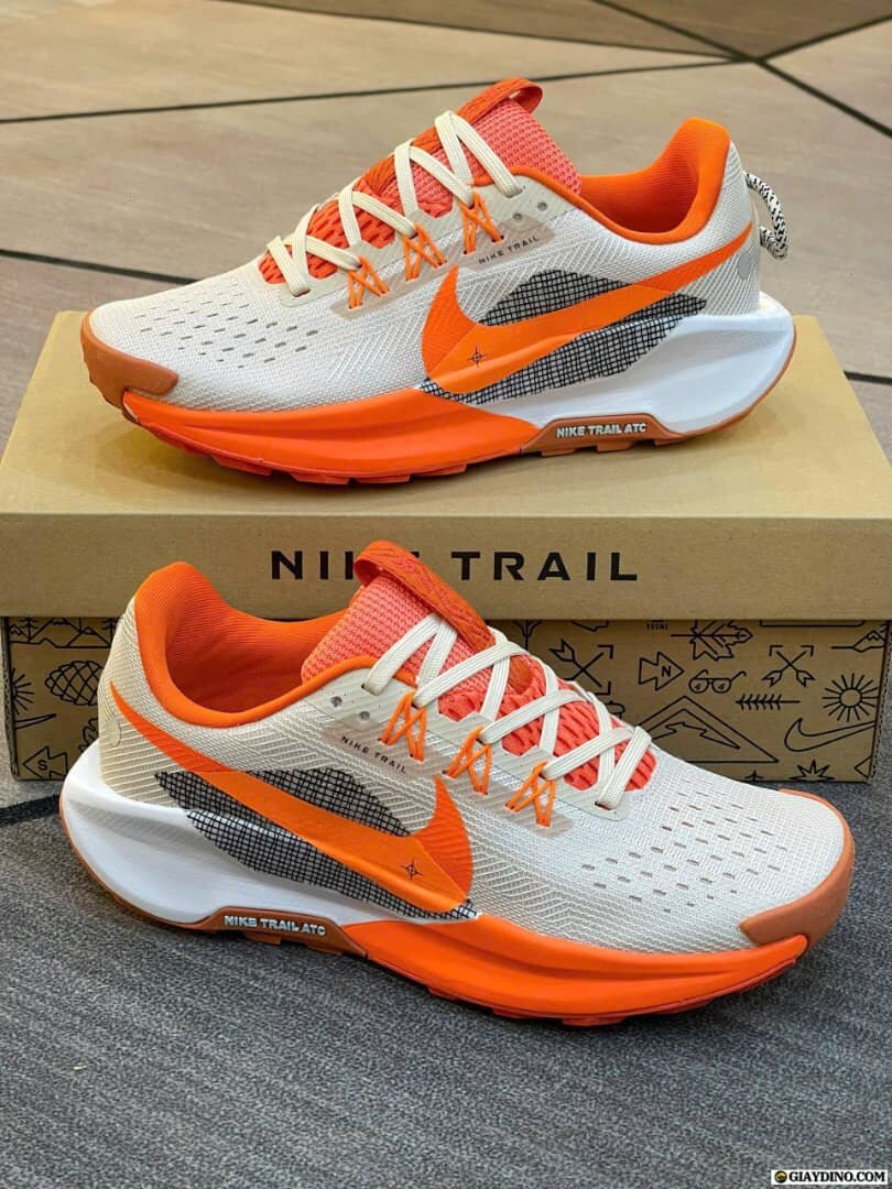 Nike Trail Chaussures Homme