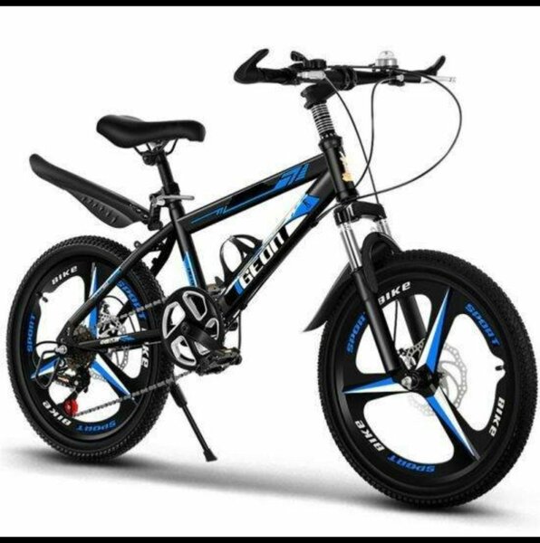 Vélo de montagne GEOX noir et bleu