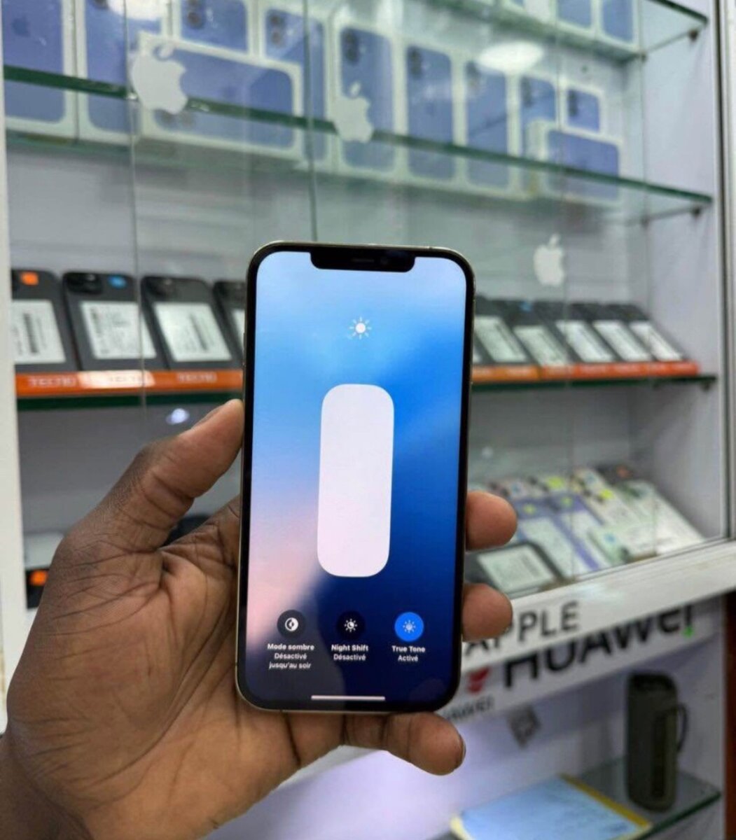 iPhone 12 Pro Max 256 Go