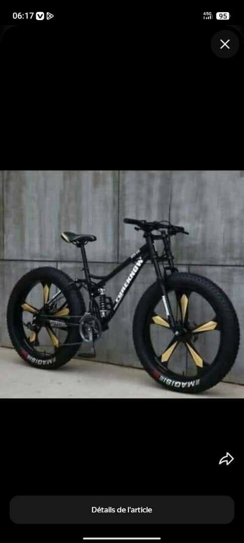 Vélo tout-terrain robuste