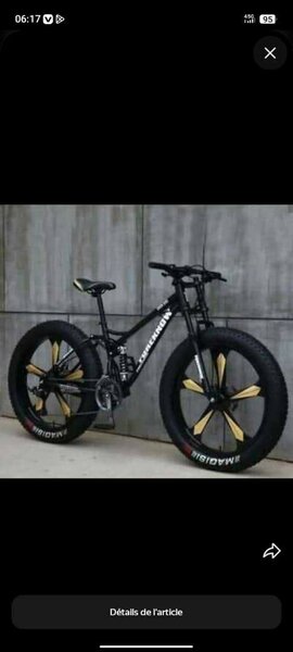 Vélo tout-terrain robuste