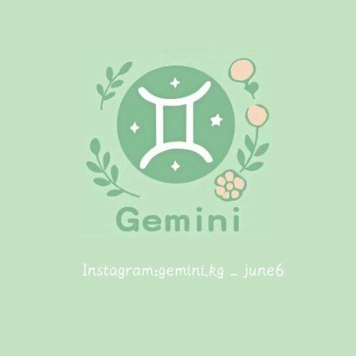 Gemini.kg
