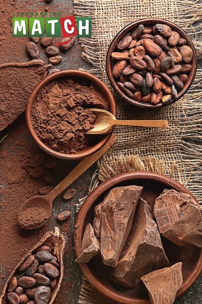 Sucette Chocolat Artisanal