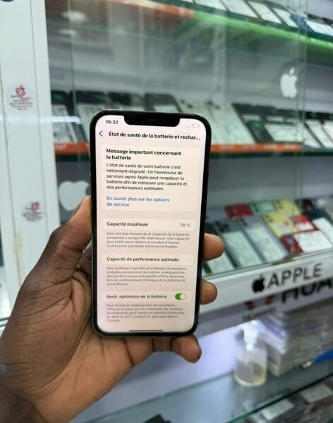 iPhone 12 Pro Max 256GB