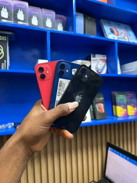 iPhone 12 couleur variée