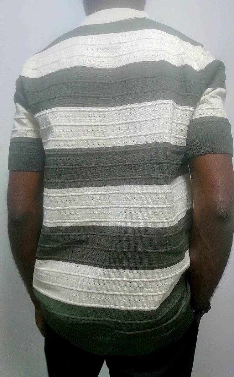 Polo rayé pour homme élégant