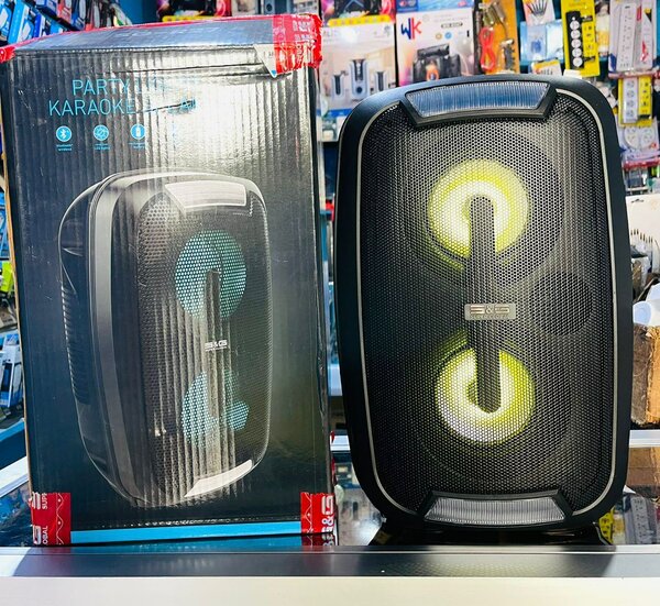 Enceinte Karaoké Portable LED