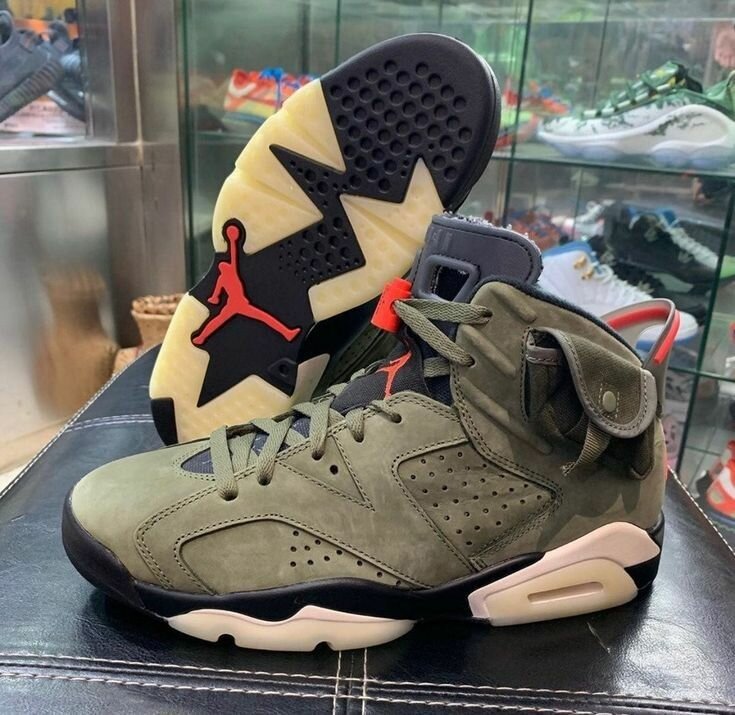 Jordan 6 cuctus