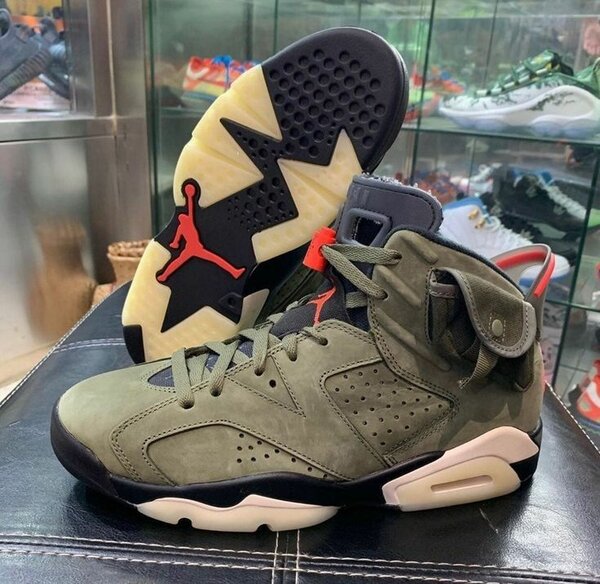 Jordan 6 cuctus