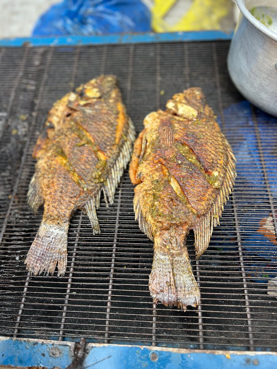 Tilapia grillée épicée