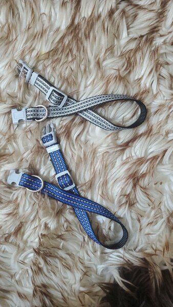 Colliers réglables pour chiens