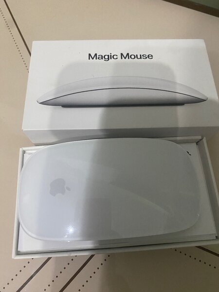 Apple Magic Mouse 2