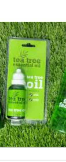 Tea Tree essential oil