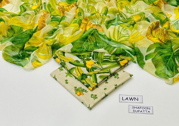 Printed Lown  suit