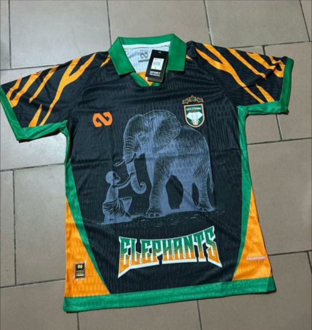 Maillot Équipe Éléphants