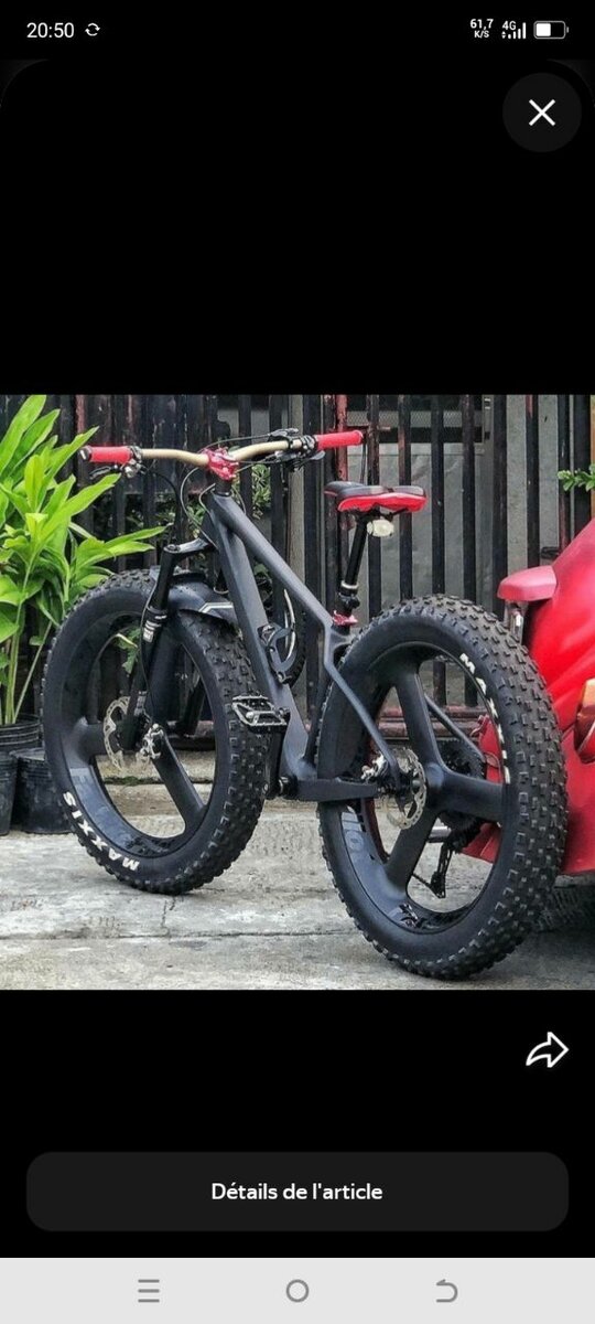 Vélo Fat Bike tout-terrain