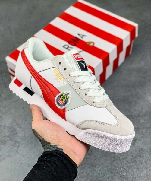 Puma roma