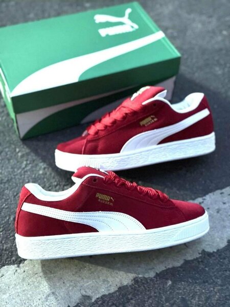 Puma