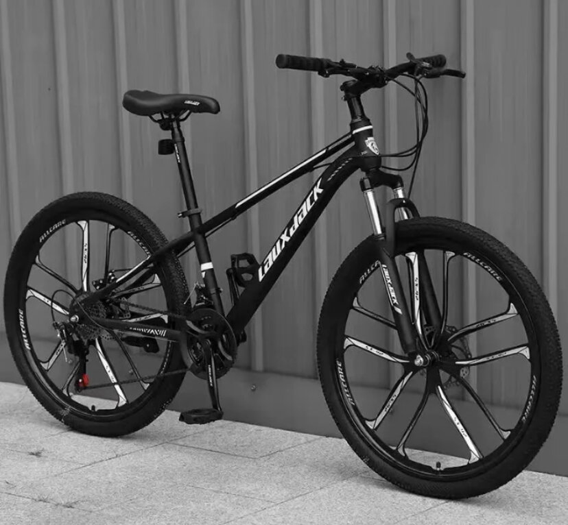 Vélo VTT Tout Terrain