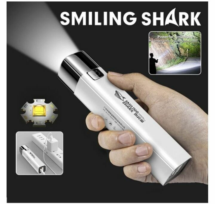 Torche power bank