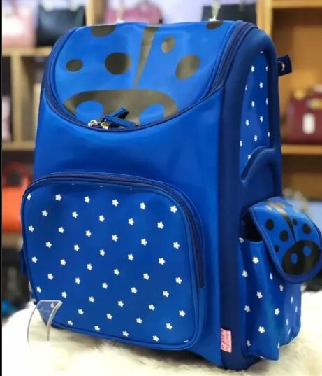 Beautiful lunch bags 🎒 😋 backpack Age: 4-8yrs