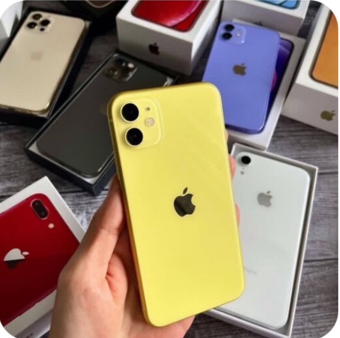 iPhone 11